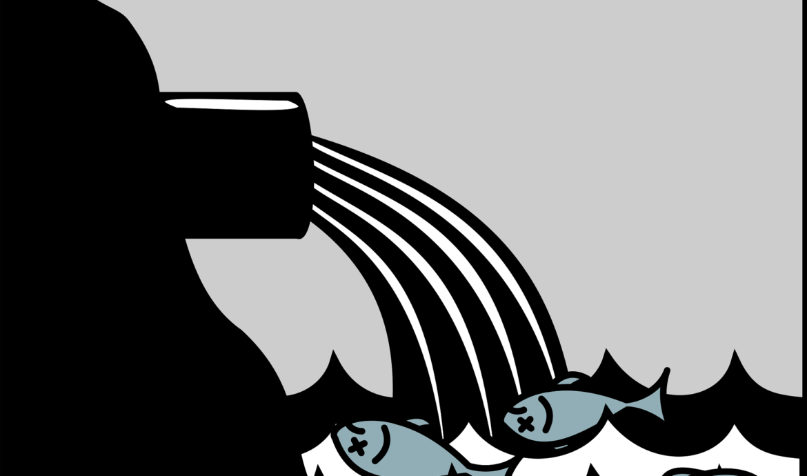 graphic depicting sewerage killing fish